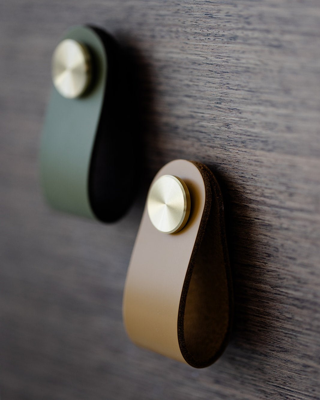 Leather & Brushed Brass Loop Handle - Olive Green